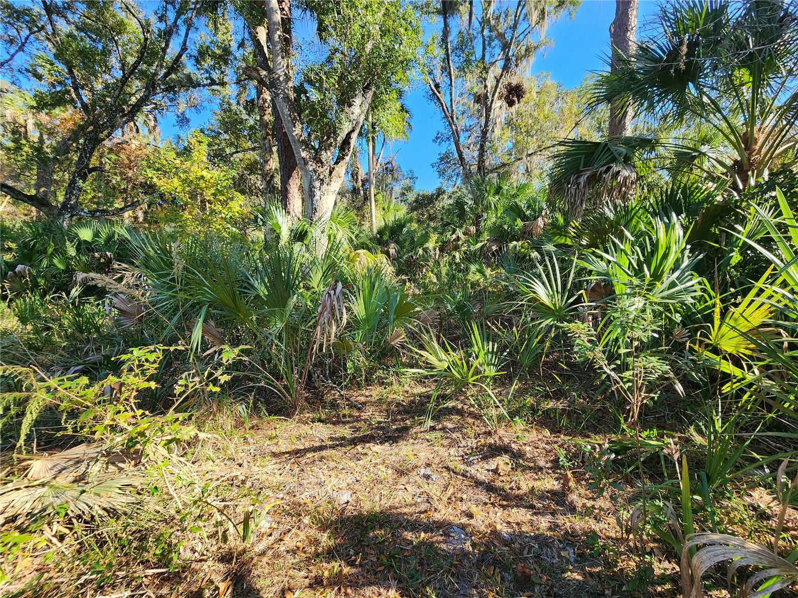 TRAILS END RETREAT UNREC - Residential