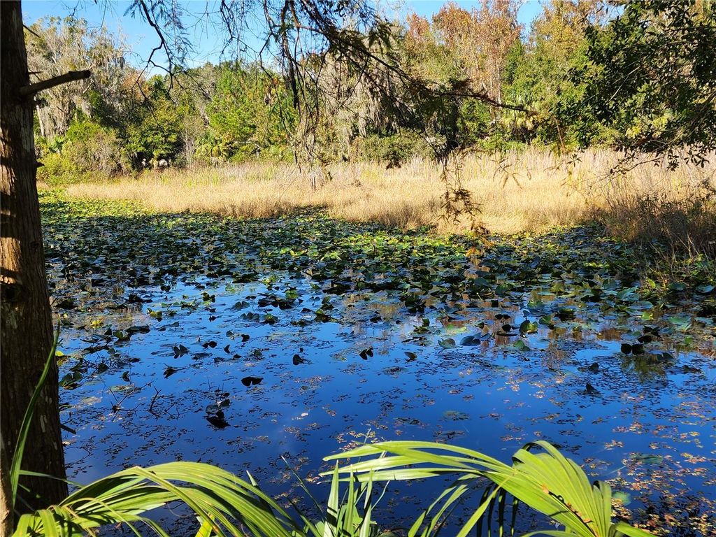 Photo of 13022 E Shawnee Trail, Inverness, FL 34450 (MLS # TB8451203)