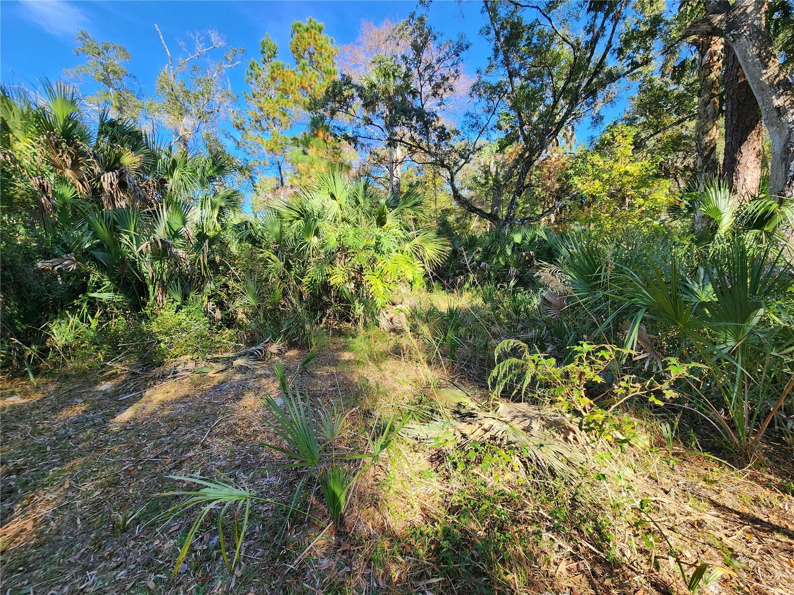 TRAILS END RETREAT UNREC - Residential