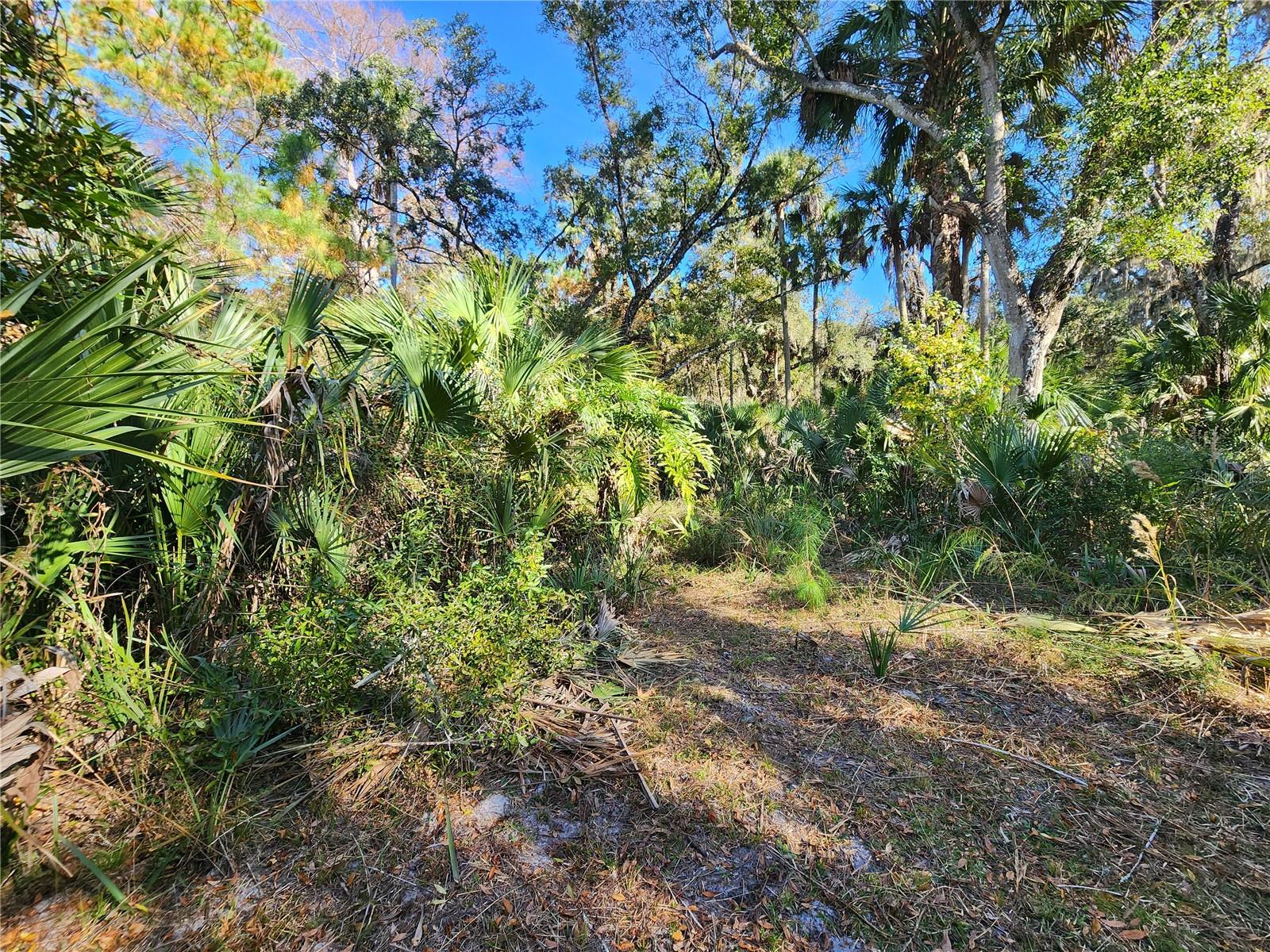 TRAILS END RETREAT UNREC - Residential