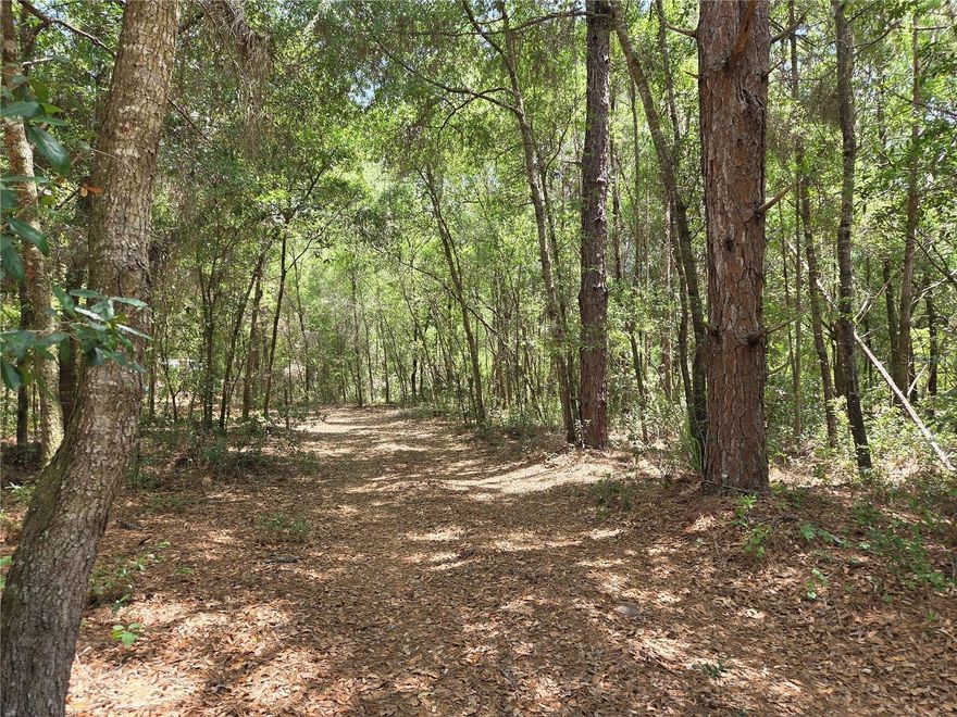 Beautiful, buildable 1.26-acre lot in desirable North Citrus County. Located just minutes to Downtown Dunnellon, yet in a secluded location. Nicely paved streets. RUR zoned. Site Built homes only; bring the animals. Just a short drive to great destinations like the World Equestrian Center ( WEC ), the Withlacoochee River, and the Rainbow Springs State Park. Both the downtown Dunnellon and the Goldendale boat ramps are just minutes away for easy access to the river, for boating and recreation. This is a great location! No Flood Zone. No HOA. Perfectly priced. Come for a visit and fall in love!
