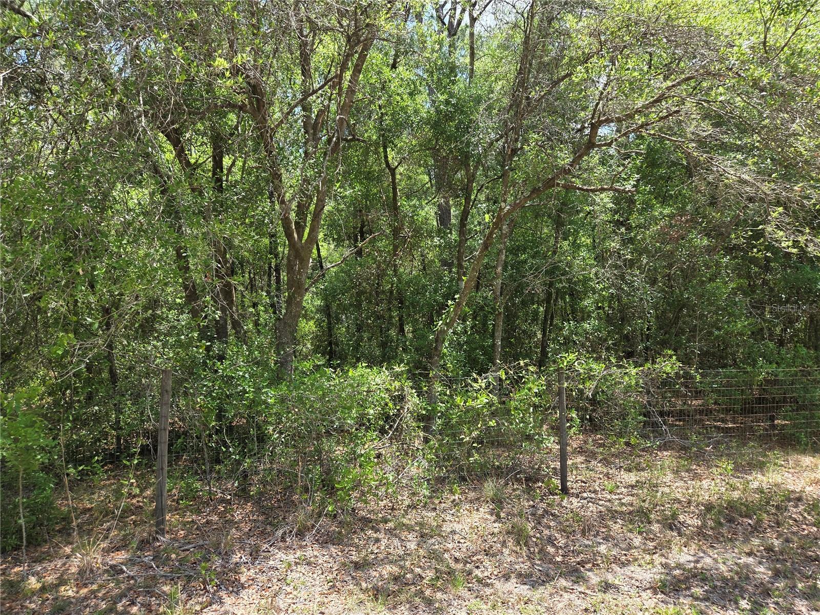 AREO ESTATES - Land