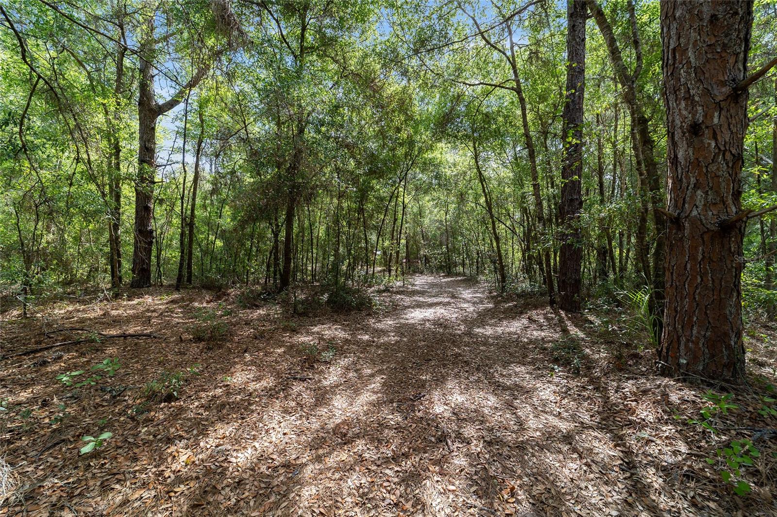 AREO ESTATES - Land