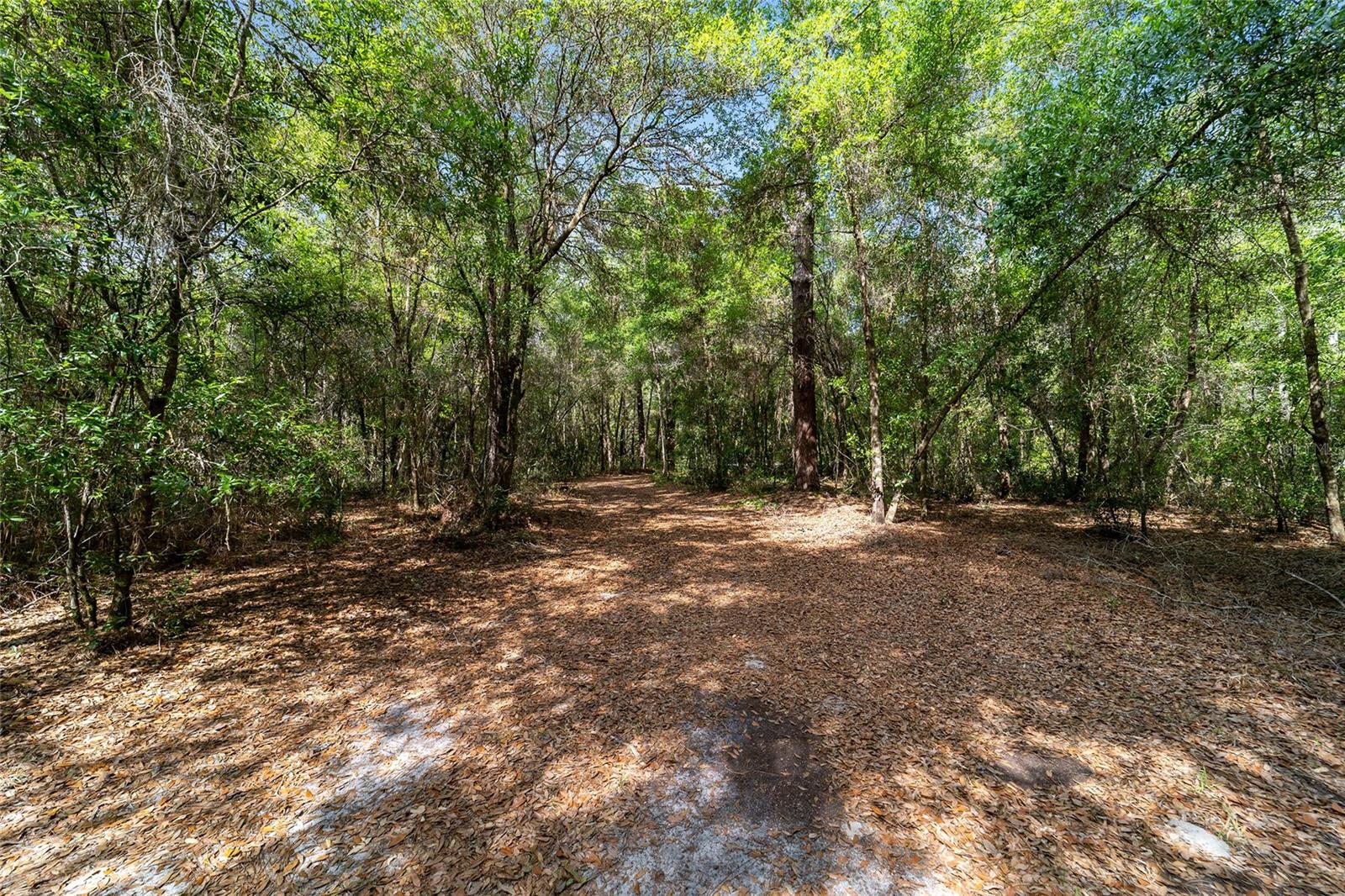 AREO ESTATES - Land