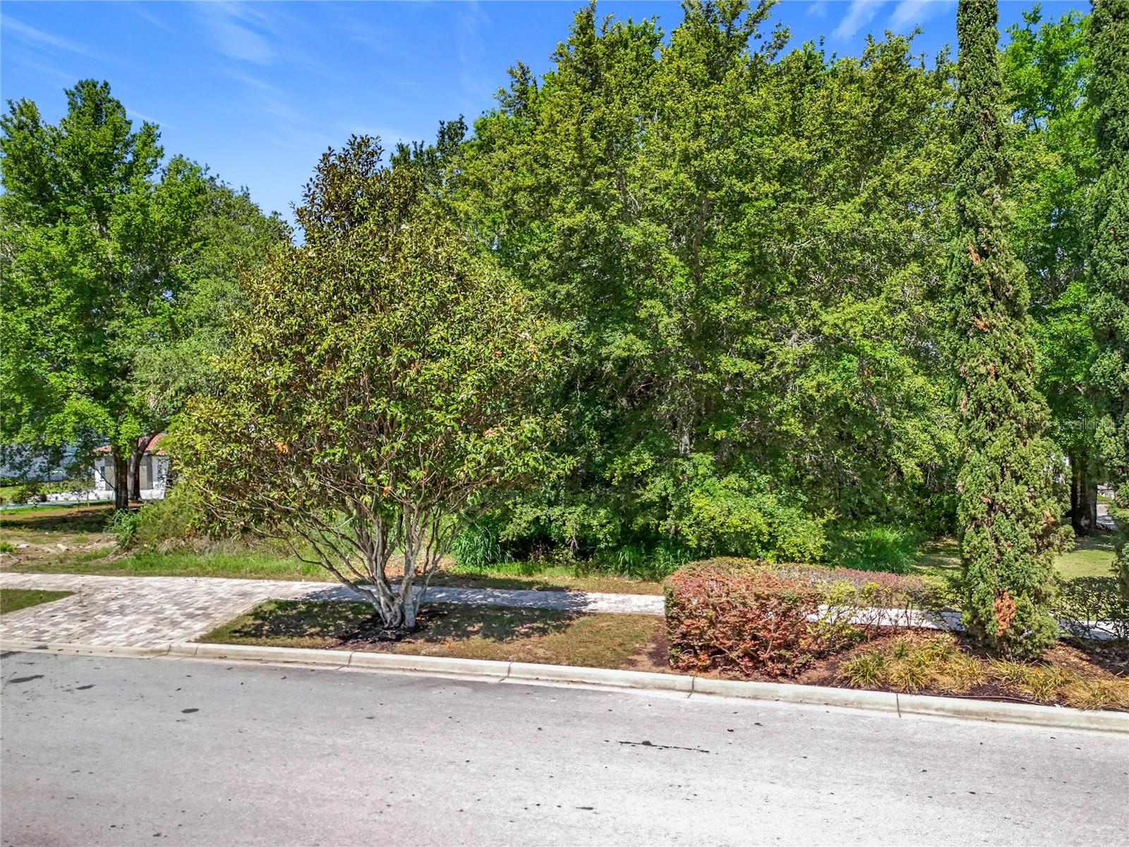 BELLA COLLINA SUB - Land