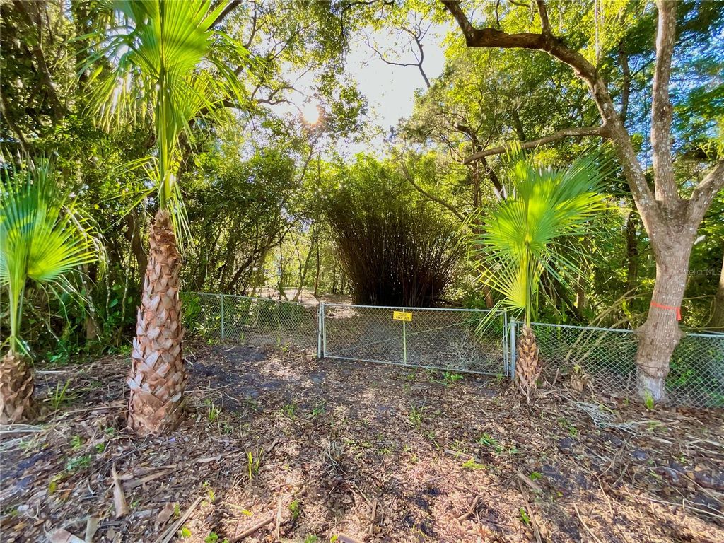 Photo of Trout Street, Melrose, FL 32666 (MLS # GC534776)