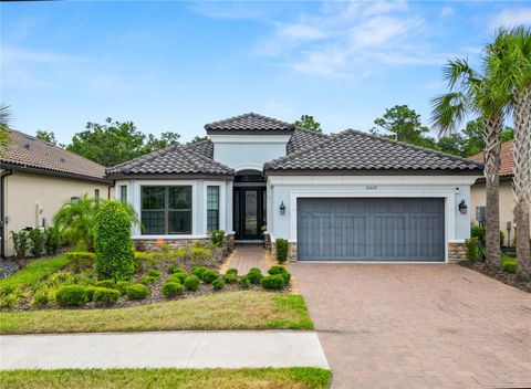 Photo of 20159 Umbria Hill Drive, Tampa, FL 33647 (MLS # L4952633)