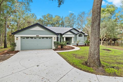 A home in DADE CITY