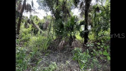 Opportunity awaits with this spacious 110x125 lot. This uncleared parcel offers a blank canvas to design and build the home you’ve always envisioned — whether it’s a year-round residence, a winter getaway, or an investment property.
Enjoy the privacy and flexibility of a larger lot, while still being close to local amenities including parks, restaurants, shopping, and top-rated schools. Just a short drive brings you to beautiful Florida beaches and endless outdoor recreation. With land in this area becoming increasingly sought after, now is the time to secure your piece of Florida’s future growth.
Don’t miss this great opportunity to invest, build, and create your own slice of paradise!