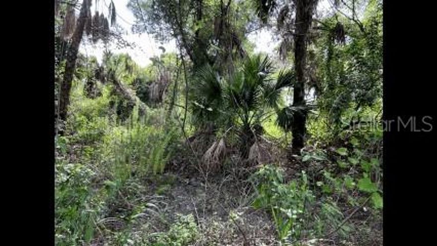Opportunity awaits with this spacious 110x125 lot. This uncleared parcel offers a blank canvas to design and build the home you’ve always envisioned — whether it’s a year-round residence, a winter getaway, or an investment property.
Enjoy the privacy and flexibility of a larger lot, while still being close to local amenities including parks, restaurants, shopping, and top-rated schools. Just a short drive brings you to beautiful Florida beaches and endless outdoor recreation. With land in this area becoming increasingly sought after, now is the time to secure your piece of Florida’s future growth.

Don’t miss this great opportunity to invest, build, and create your own slice of paradise!