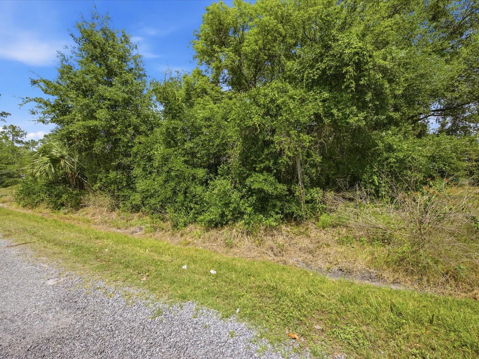 DAYTONA PARK ESTATES SEC A - Land