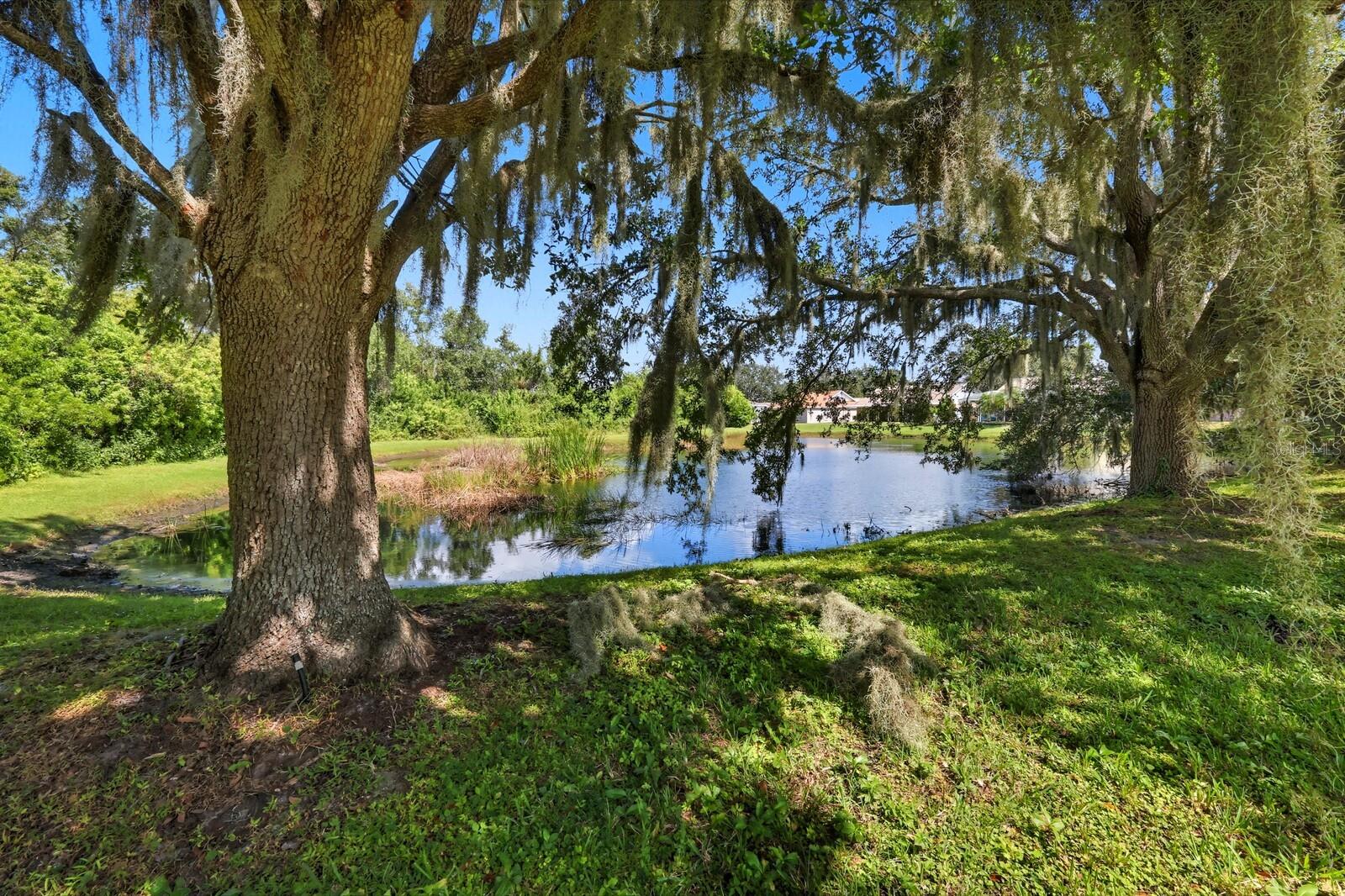 11503 SWEETGRASS DRIVE