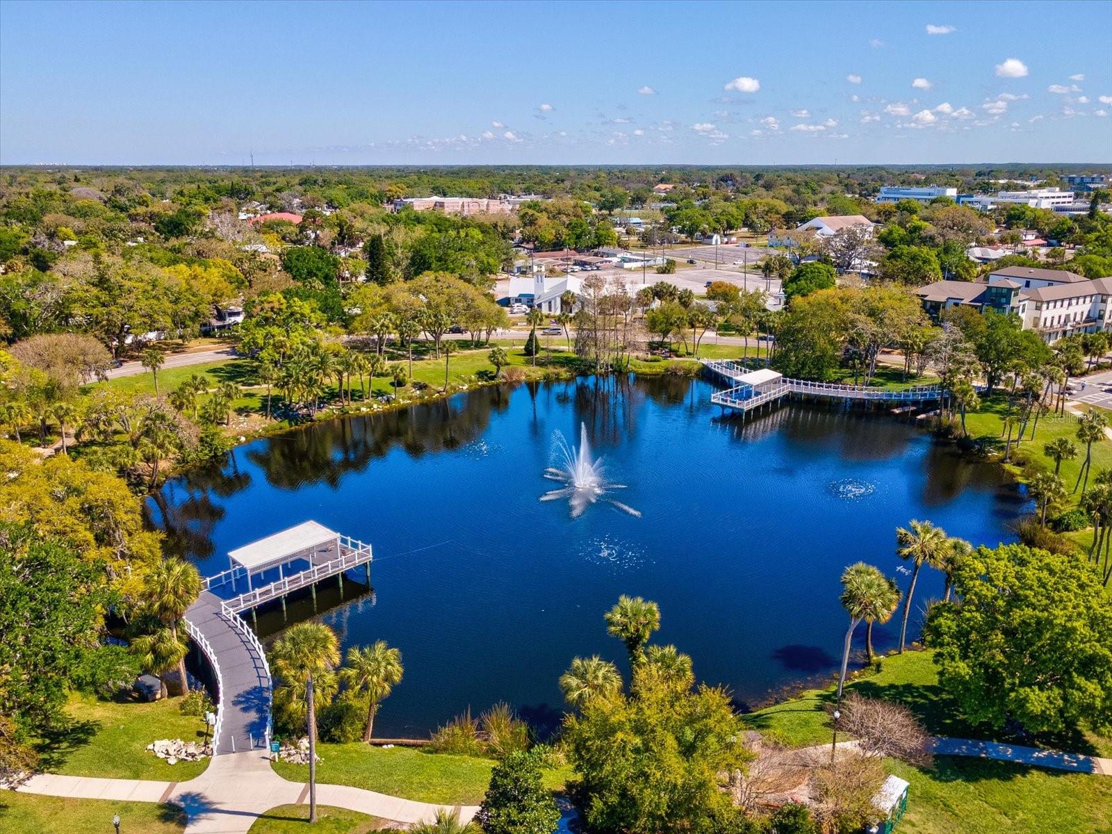 BRIAR PATCH - Residential