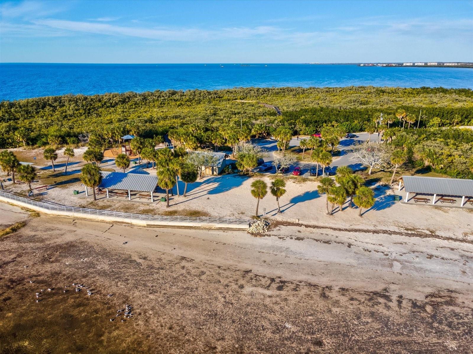 BRIAR PATCH - Residential