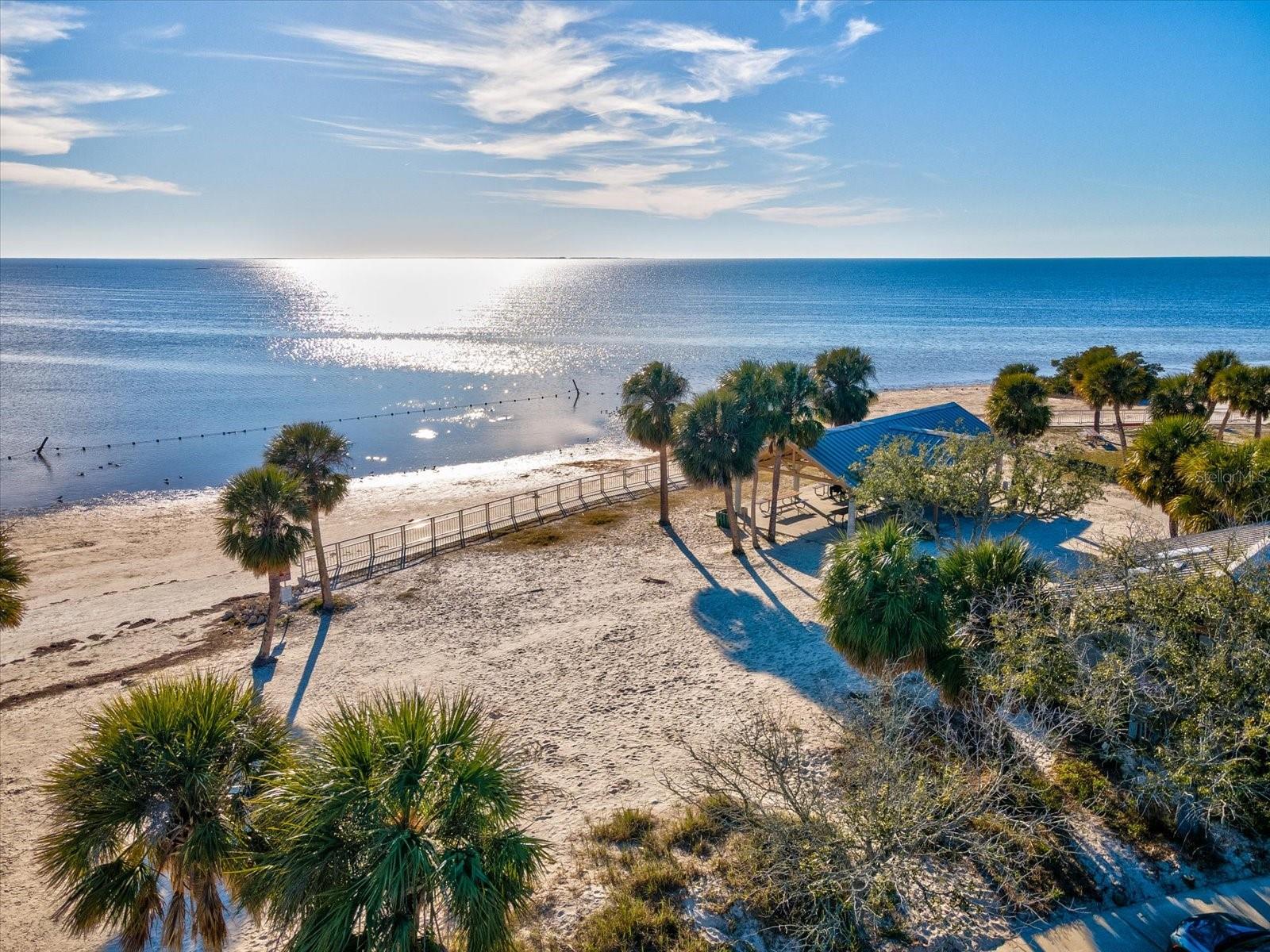 BRIAR PATCH - Residential