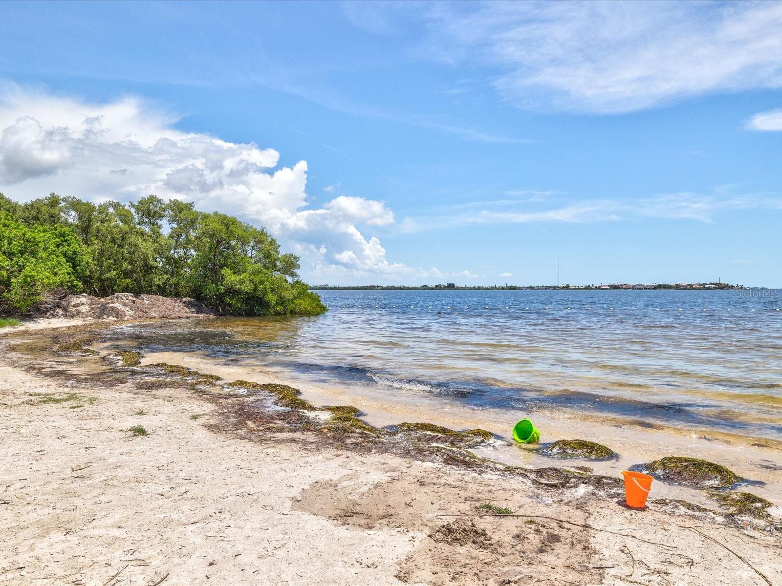 BRIAR PATCH - Residential