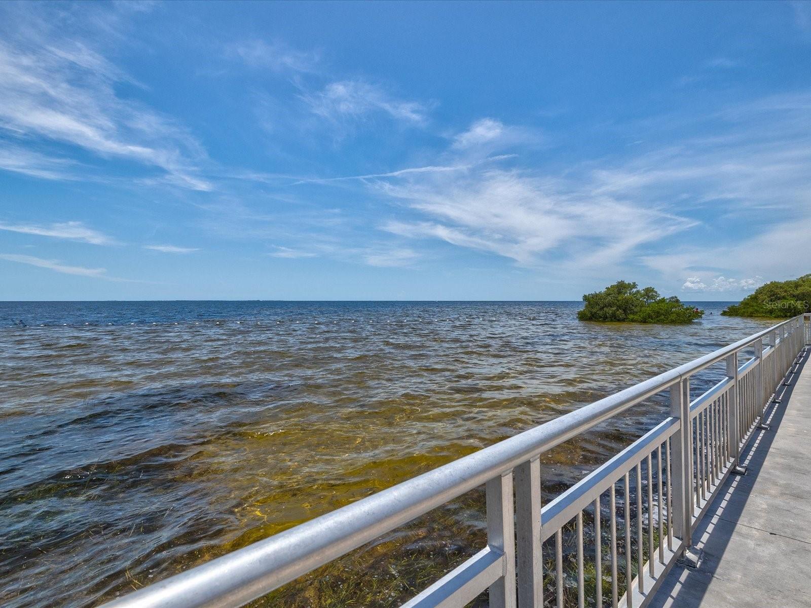 BRIAR PATCH - Residential