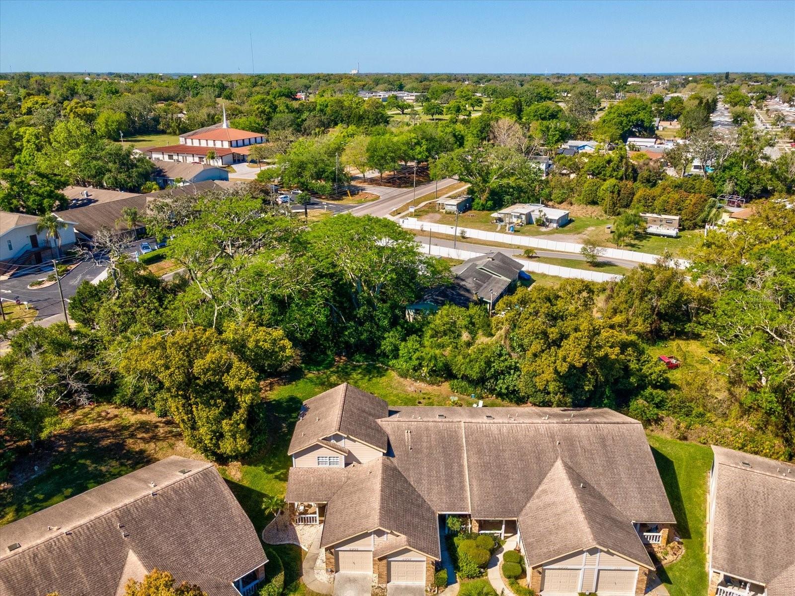 BRIAR PATCH - Residential