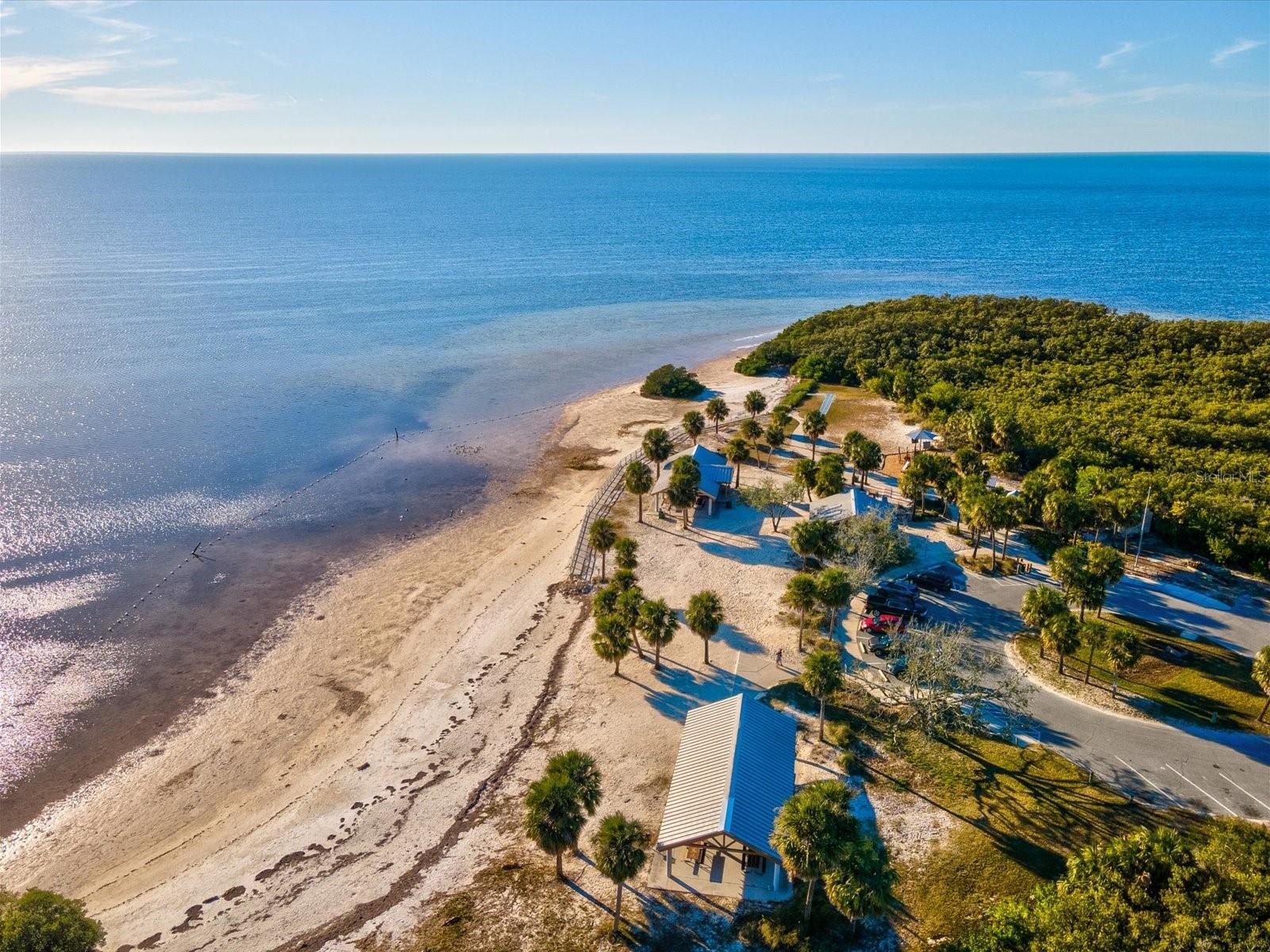 BRIAR PATCH - Residential