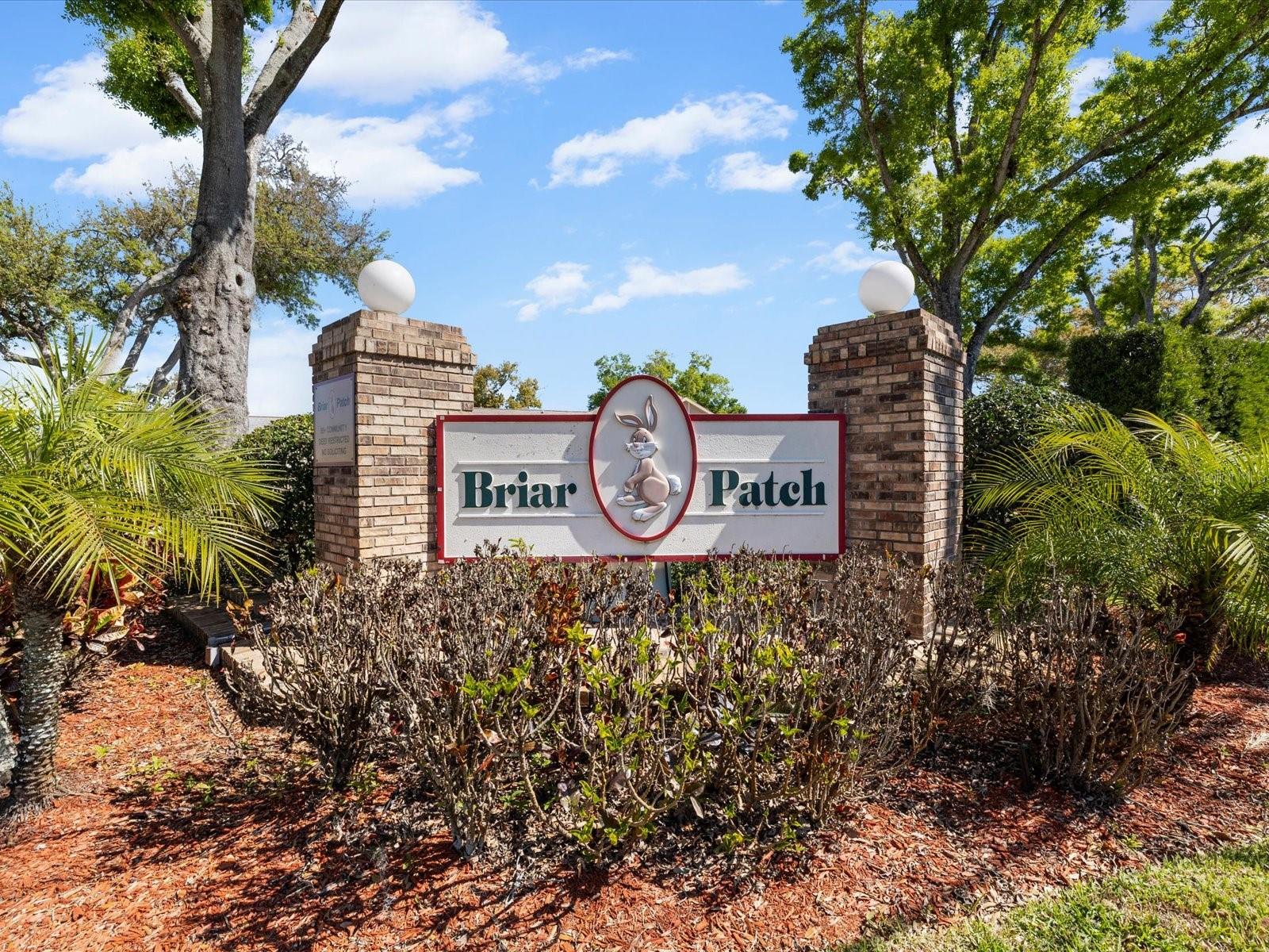 BRIAR PATCH - Residential