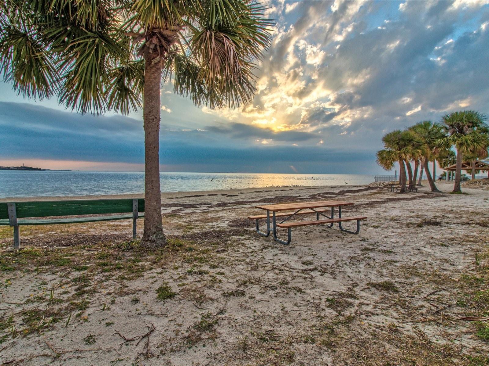 BRIAR PATCH - Residential