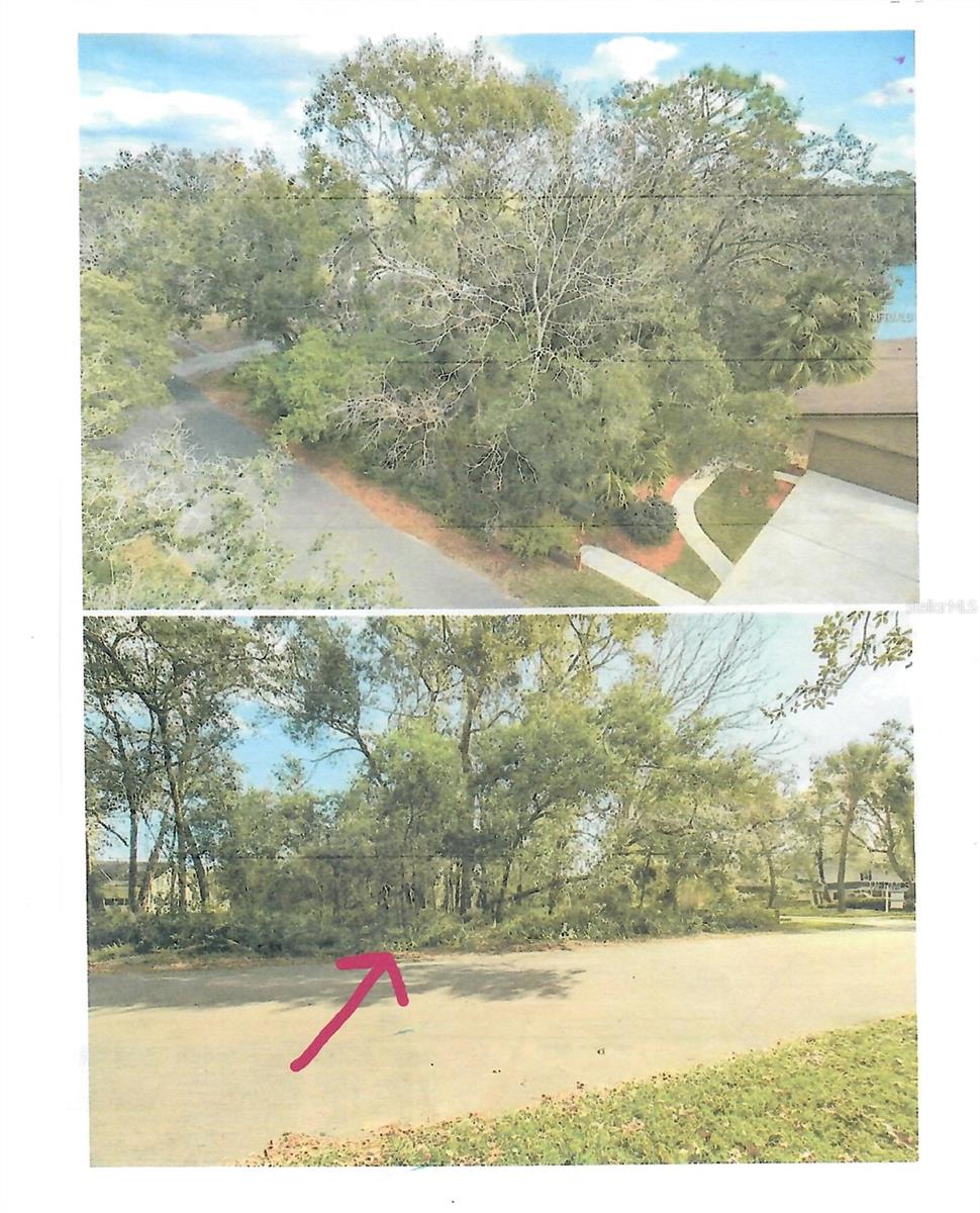 421 CARDINAL OAKS COURT