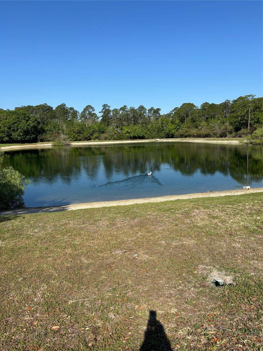 LAGO DE ORO PH 01 - Residential Lease