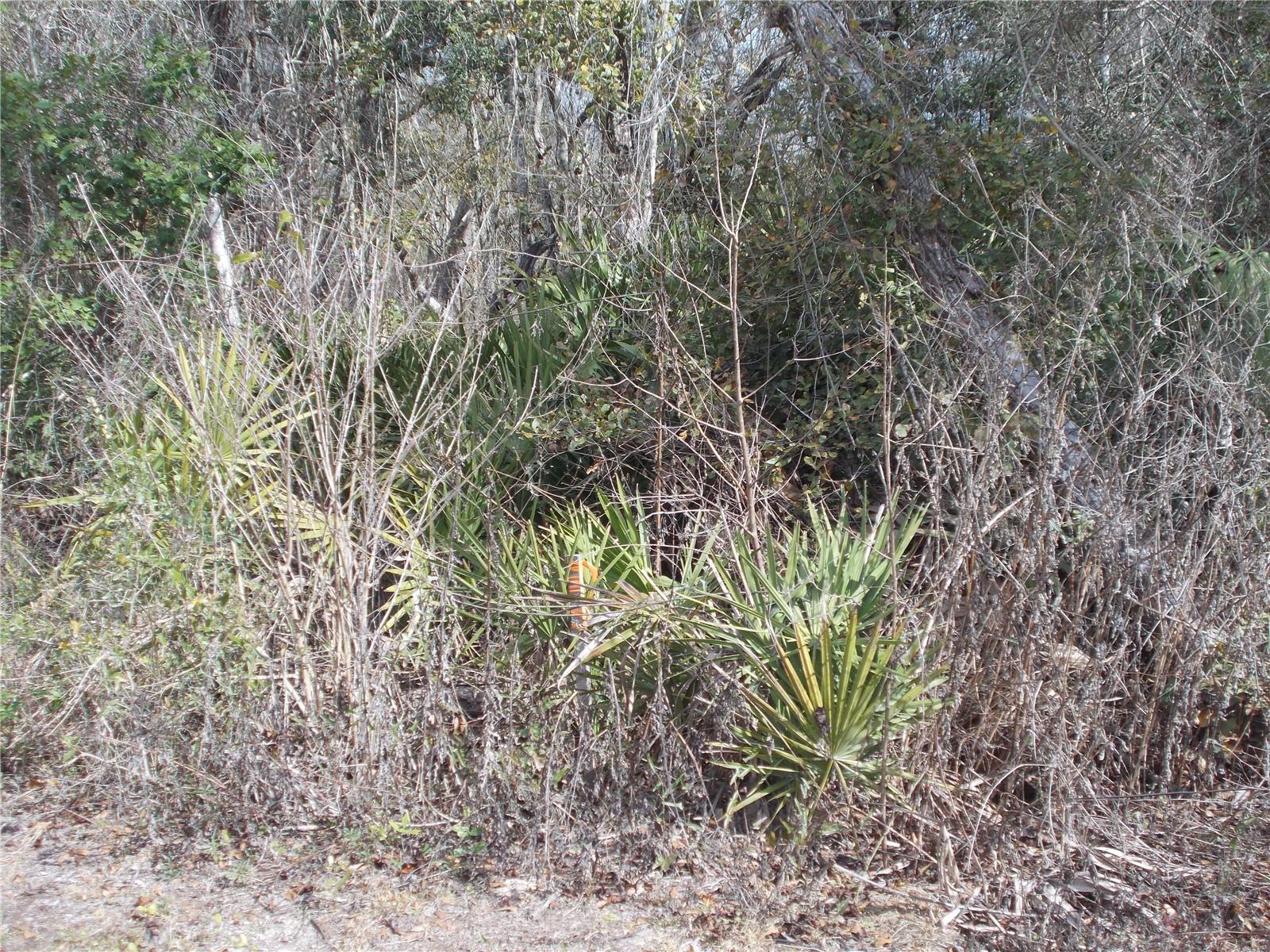 SUW RIV HEIGHTS - Land