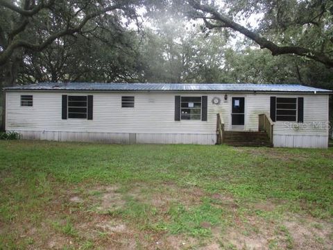 A home in DADE CITY