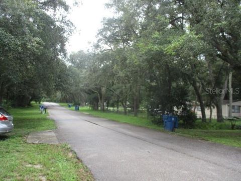 A home in DADE CITY