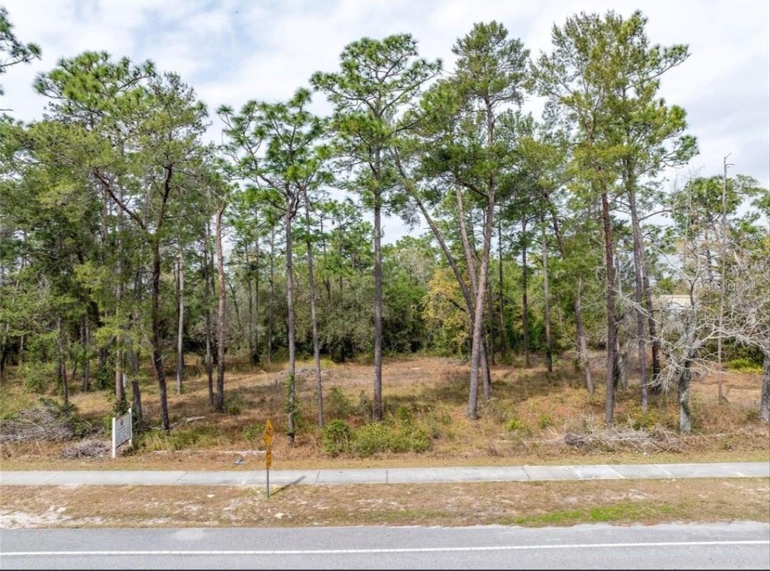 DELTONA LAKES UNIT 38 - Land