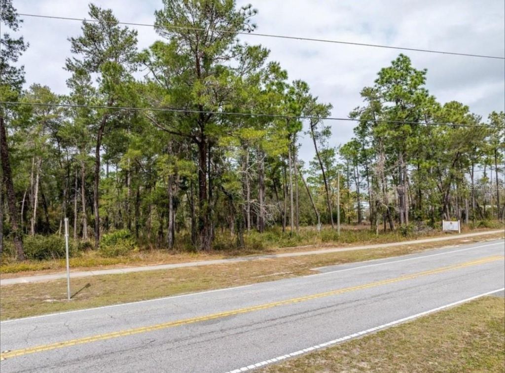 Photo of 1370 Courtland Blvd, Deltona, FL 32738 (MLS # O6381677)