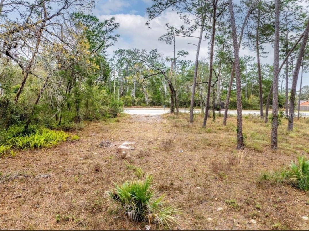 DELTONA LAKES UNIT 38 - Land