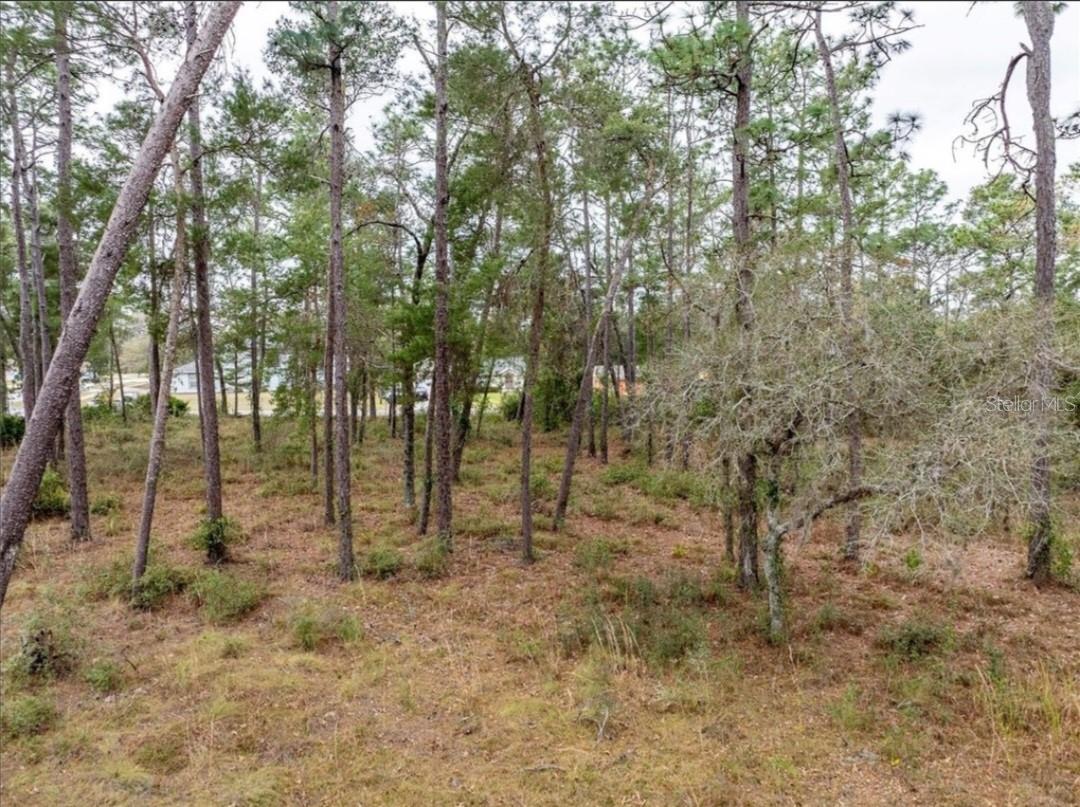 DELTONA LAKES UNIT 38 - Land