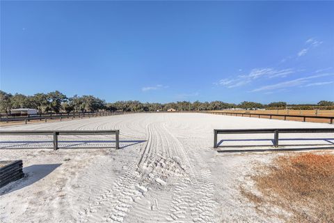 Tiny photo for 12000 S Highway 475, Ocala, FL 34480 (MLS # OM718476)