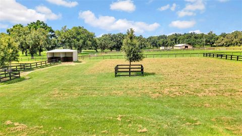 Tiny photo for 12000 S Highway 475, Ocala, FL 34480 (MLS # OM718476)