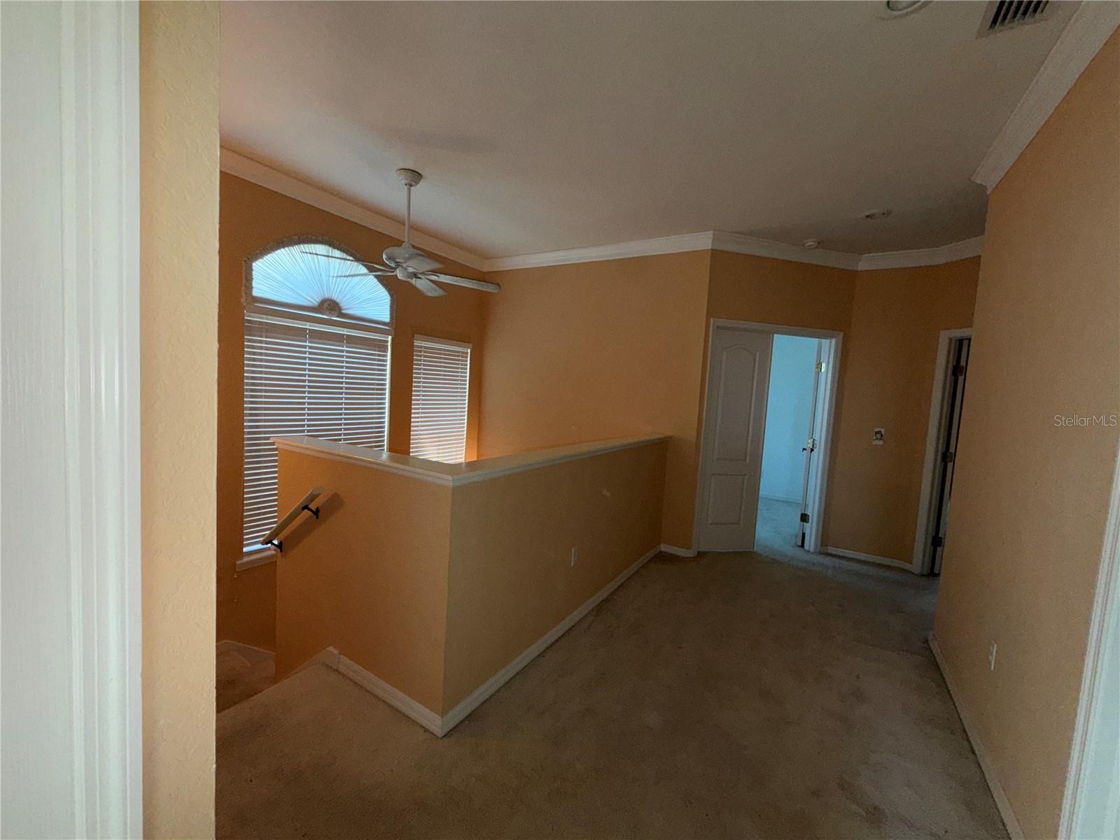 ASHLEY DOWNS - Residential