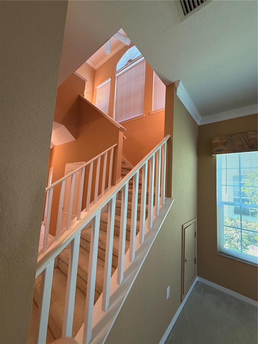 ASHLEY DOWNS - Residential