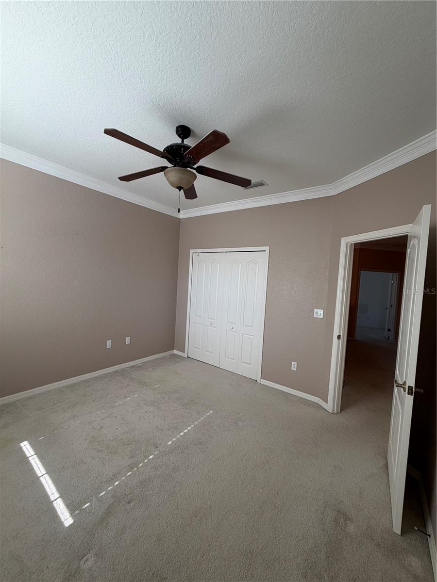 ASHLEY DOWNS - Residential