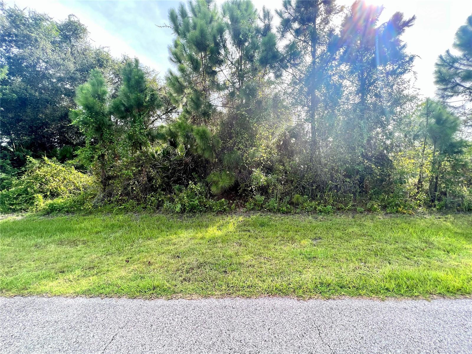 Nice western rear exposure lot in a well developed area.