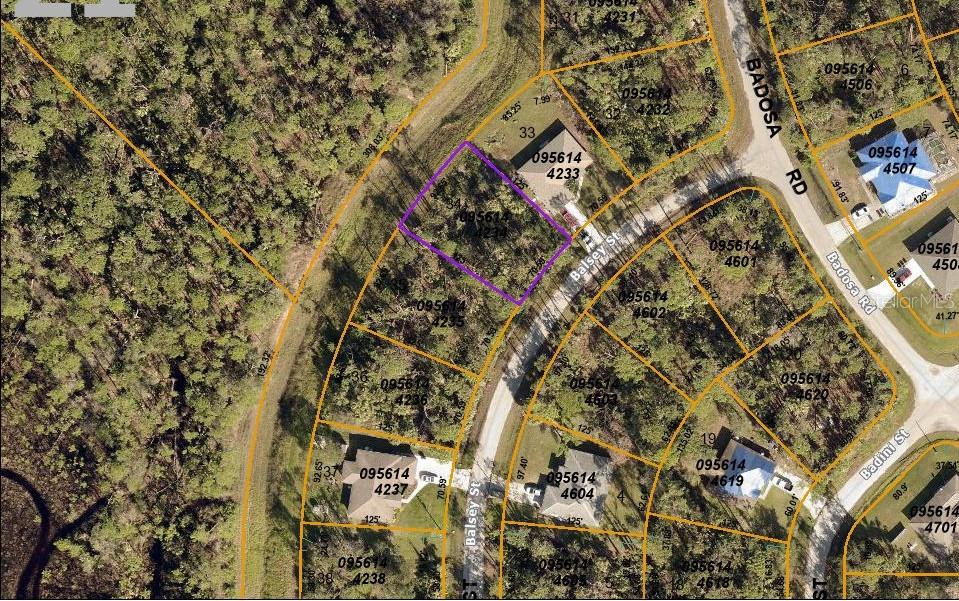Discover your ideal spot for a dream home in North Port, just off N Salford Blvd. This spacious residential lot offers convenience and serenity in a thriving community. With nearby access to schools and amenities, including parks and shopping centers, seize this opportunity to make your vision a reality. Inquire now!