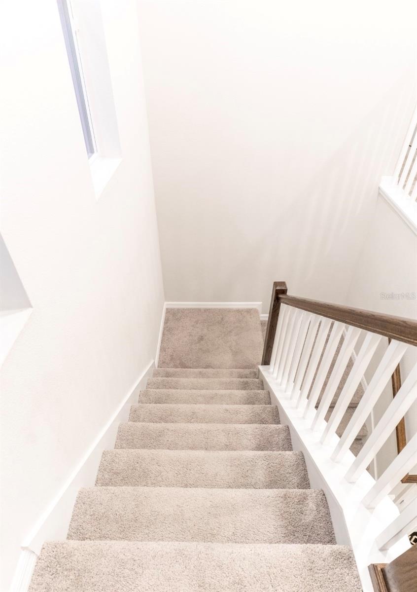 WESLYN PARK - Residential