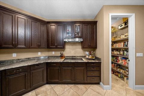 Tiny photo for 3922 SW 115th Street, Ocala, FL 34476 (MLS # OM724801)