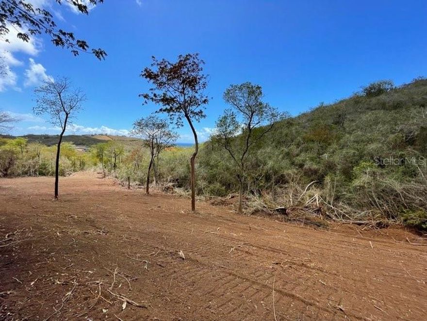 This land is a piece of tranquility and peacefulness.  Tucked away in Villa Borinquen and surrounded by copperwood trees, beautiful hills, and partial ocean views this is a great place for those looking for a rural and serene location to build their home.