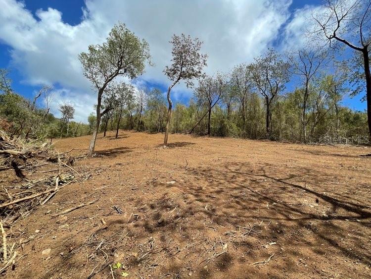 VILLA BORINQUEN - Land