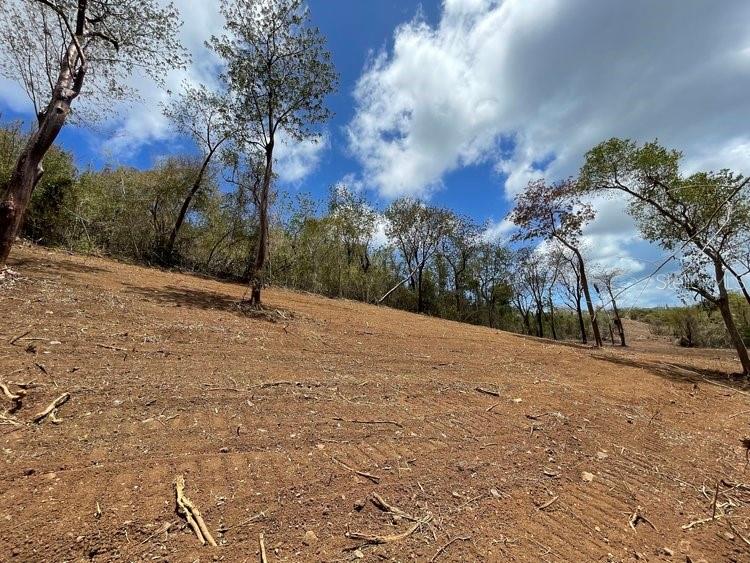 VILLA BORINQUEN - Land