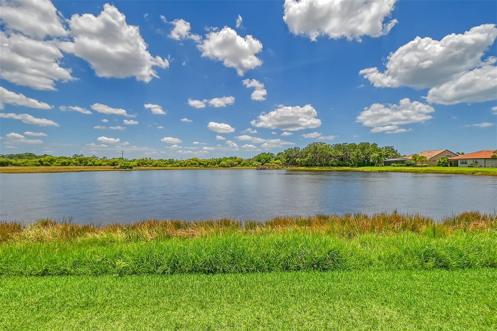 SANDHILL PRESERVE - Residential