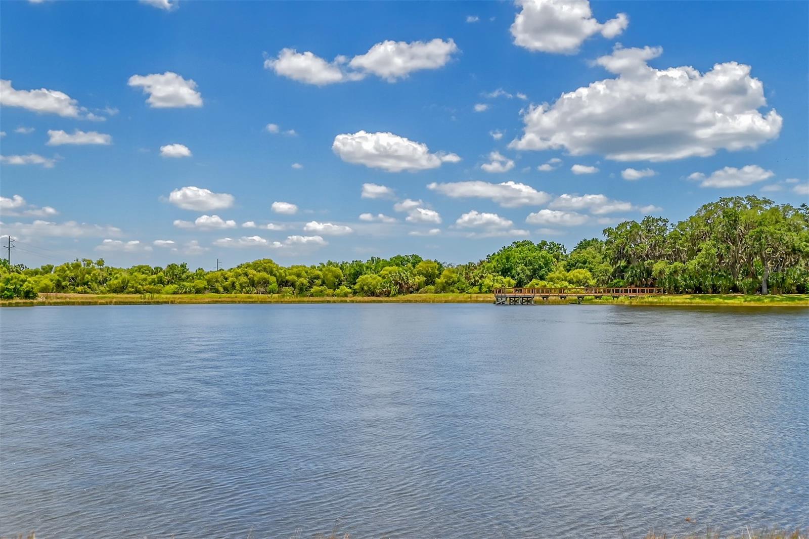 SANDHILL PRESERVE - Residential
