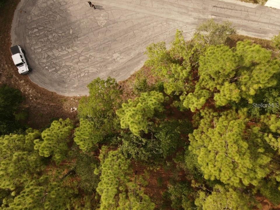 GREEN HAMMOCK SUB - Land
