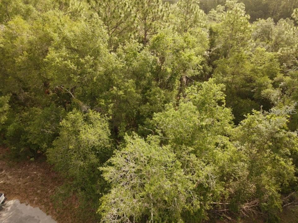 GREEN HAMMOCK SUB - Land